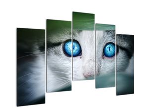 Modern kép - állatok