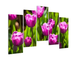 Modern kép - virágok 