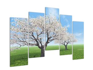 Modern kép - vidékek