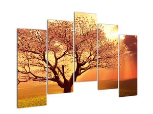 Modern kép - vidékek