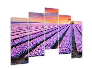 Modern kép - vidékek