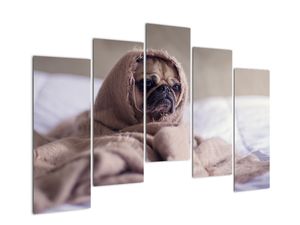 Modern kép - állatok