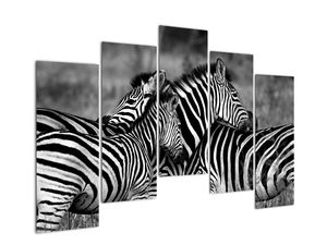 Modern kép - állatok