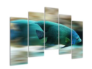 Modern kép - állatok