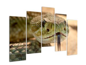 Modern kép - állatok