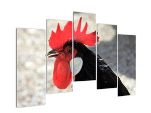 Modern kép - állatok