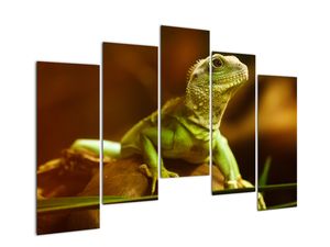 Modern kép - állatok