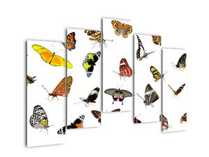 Modern kép - állatok