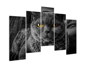 Modern kép - állatok