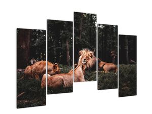 Modern kép - állatok