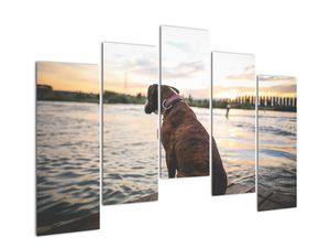 Modern kép - állatok