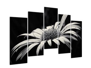 Modern kép - virágok 