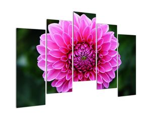 Modern kép - virágok 