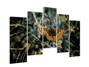 Modern kép - állatok