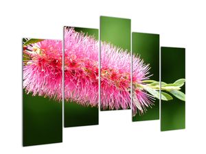 Modern kép - virágok 