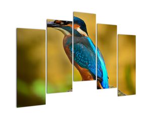 Modern kép - állatok