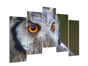 Modern kép - állatok