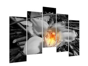 Modern kép - virágok