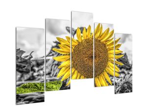 Modern kép - virágok 