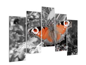 Modern kép - állatok