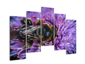 Modern kép - állatok