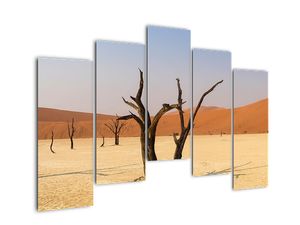 Modern képek - táj