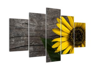 Modern kép - virágok 