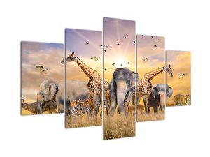 Modern kép - állatok