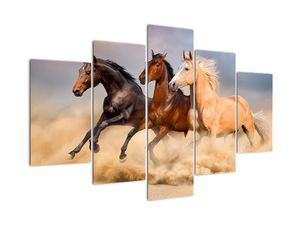 Modern kép - állatok