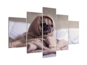 Modern kép - állatok