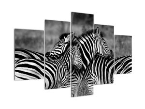 Modern kép - állatok