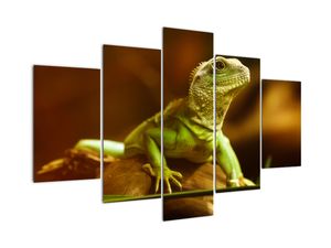 Modern kép - állatok