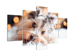 Modern kép - állatok