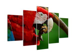 Modern kép - állatok