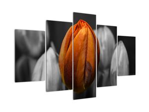 Modern kép - virágok 