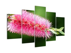 Modern kép - virágok 