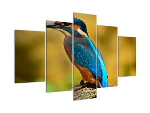 Modern kép - állatok