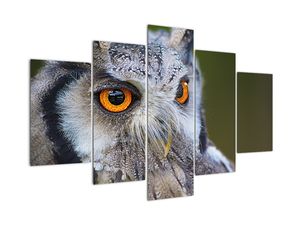 Modern kép - állatok