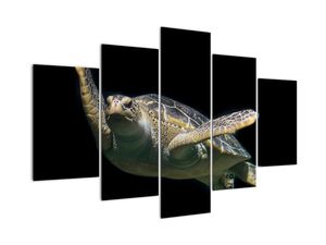 Modern kép - állatok