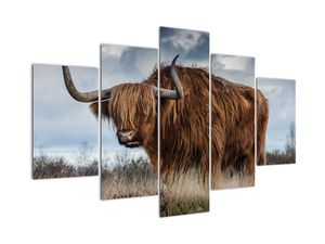 Modern kép - állatok