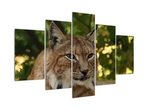 Modern kép - állatok