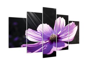 Modern kép - virágok 