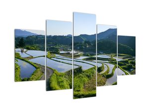 Modern képek - táj