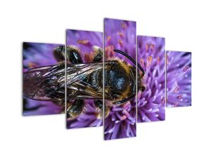 Modern kép - állatok