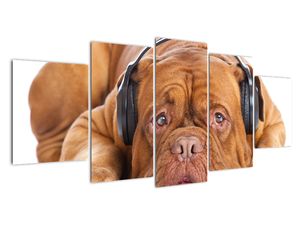 Modern kép - állatok