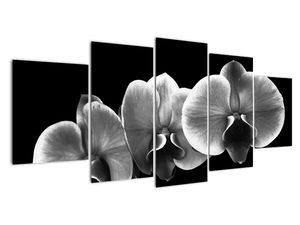 Modern kép - virágok 