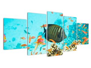 Modern kép - állatok