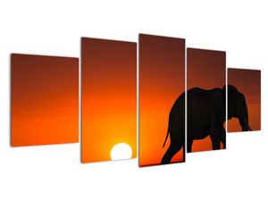 Modern kép - állatok