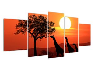 Modern kép - állatok