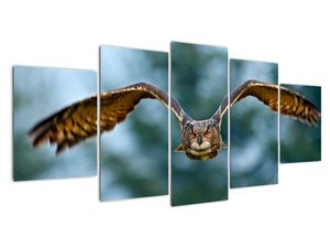 Modern kép - állatok